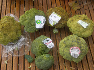 Bewaren broccoli: krimp- of rekfolie?