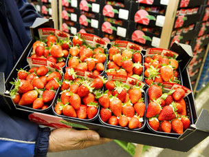 Aardbeienmarkt loopt langzaam leeg