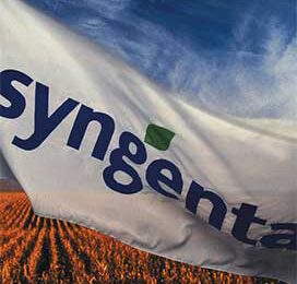 Syngenta wijst Monsanto af, verliest beurswaarde