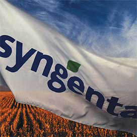 Syngenta wijst Monsanto af, verliest beurswaarde