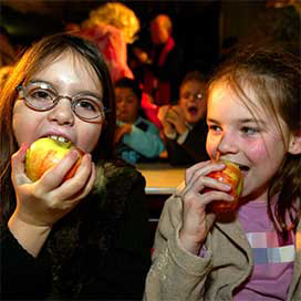 Landbouwcommissie EP akkoord met plan voor schoolfruit