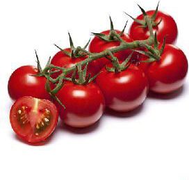 Vereniging Prominent koopt derde tomatenbedrijf