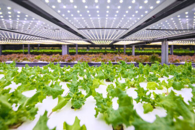 De Hoge Dennen Capital investeerde ¬  20 miljoen in Plantlab, het bedrijf dat al jarenlang investeert in de ontwikkeling van indoor en vertical farming.