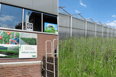 Oirschot Organics is SKAL- en Bio+ gecertificeerd. Ooit won het bedrijf ook de Nature Counts award van The Greenery. - Foto: Ton van der Scheer
