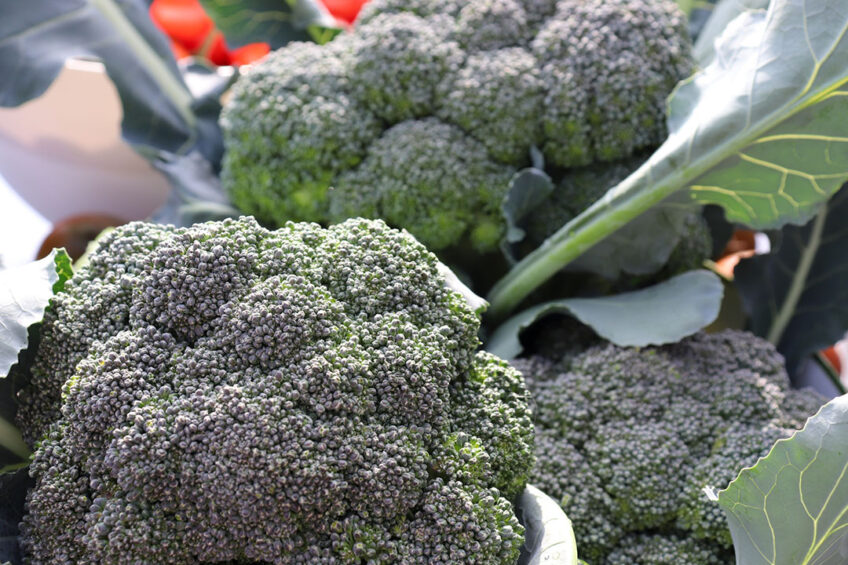 10 ton biologische broccoli die gestort dreigde te worden, ligt nu in de aanbieding in 69 Poiesz-supermarkten in Friesland. - Foto: Foto: Canva/ KCmelete