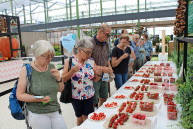 Aardbeienweek op de Floriade. - Foto: Ton van der Scheer