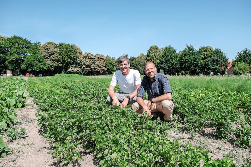 Julien de Brouwer (l) en Quentin Labrique (r) openden in mei 2017 hun eerste biologische winkel in Brussel. The Barn Bio Market is volgens hen een biologische winkel met betaalbare prijzen. - Foto's: The Barn Bio Market
