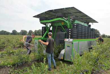 De oogstmachine aan het werk. - foto: Ank van Lier