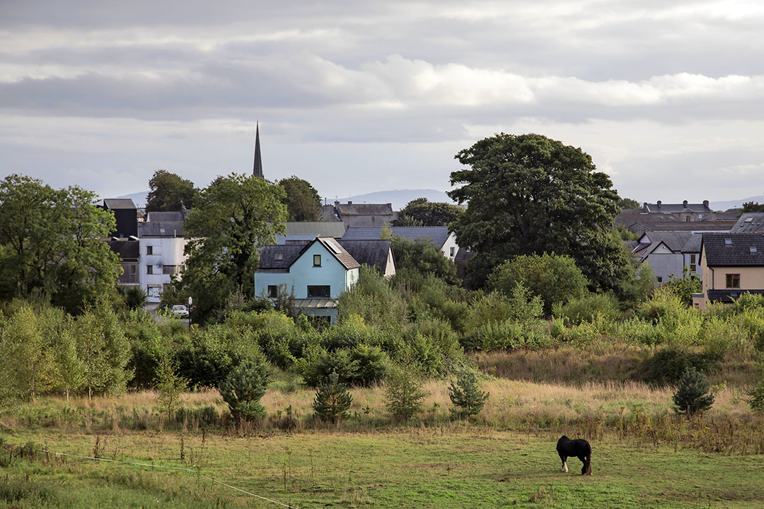 The Irish eco-village Cloughjordan, in the middle of Ireland.  The organic farm is owned by its 70 members, around 40 households.  - Eoin O'Conaill/Gerrit Post