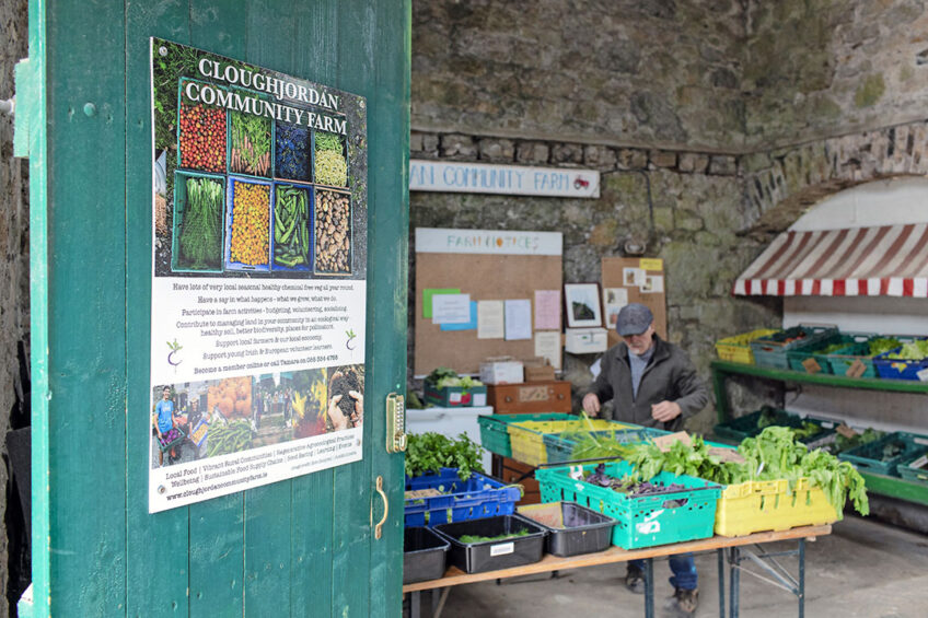 Producten in de boerderijwinkel van Cloughjordan Community Farm. - Foto: Eoin O'Conaill/Gerrit Post