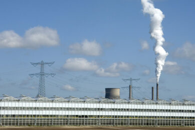 Voor veel bedrijven is steun of bescherming tegen hoge energieprijzen cruciaal. - Foto: Ton van der Scheer