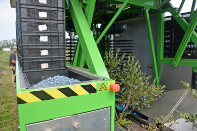 Leon Schrijnwerkers is erg tevreden met zijn oogstmachines. - Foto: Ank van Lier