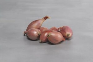 Innovator, the first seeding of shallots with high resistance to downy mildew 